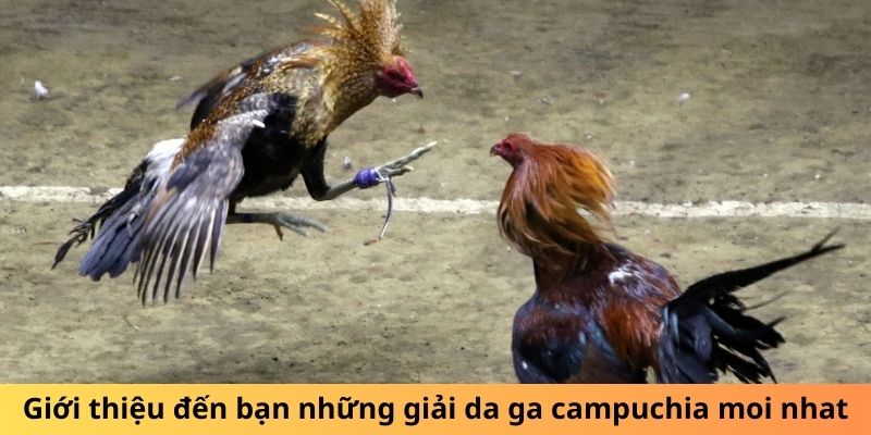 Giới thiệu đến bạn những giải da ga campuchia moi nhat