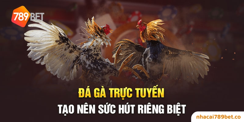 Đặt cược chọi gà muôn nơi