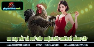 50 Loại Vảy Gà Quý