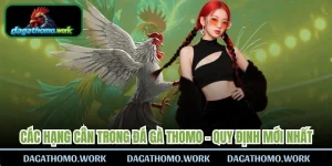 Các Hạng Cân Trong Đá Gà Thomo