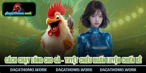 Cách Chạy Lồng Cho Gà
