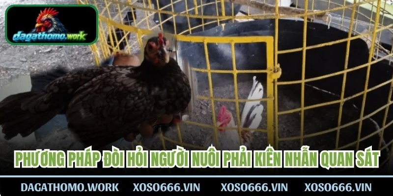 Phương pháp đòi hỏi người nuôi phải kiên nhẫn đứng quan sát