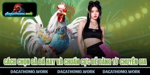 Cách Chọn Gà Đá Hay