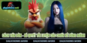 Cách Vần Đòn