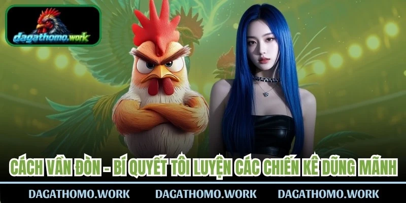 Cách Vần Đòn