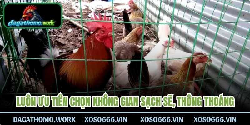 Luôn ưu tiên chọn không gian sạch sẽ, thông thoáng