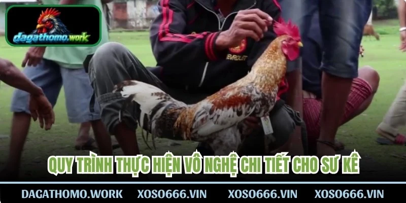 Quy trình thực hiện vô nghệ chi tiết cho sư kê 