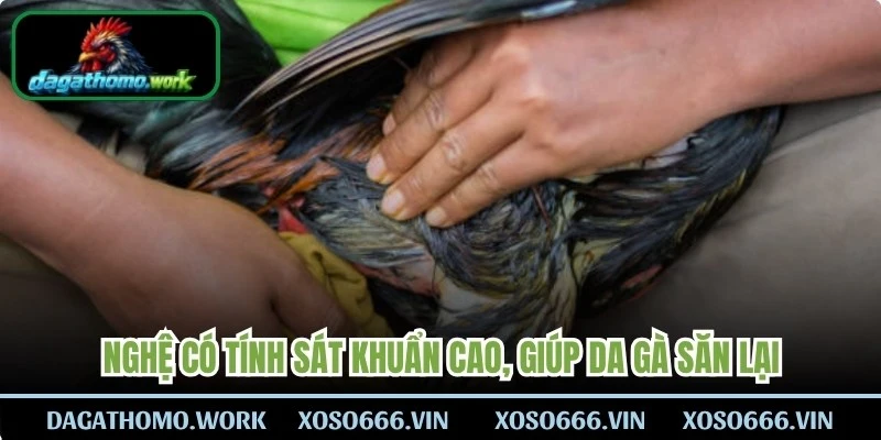 Nghệ có tính sát khuẩn cao, giúp da gà săn lại