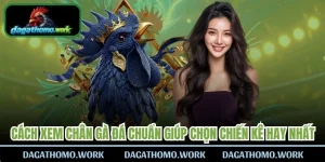 Cách Xem Chân Gà Đá