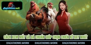 Cách Xem Mắt Gà Đá