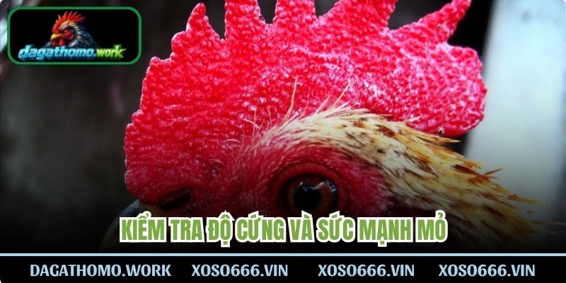 Kiểm tra độ cứng và sức mạnh mỏ