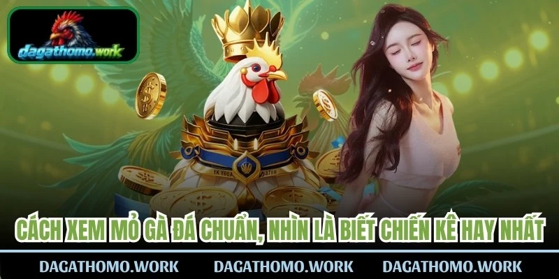Cách Xem Mỏ Gà Đá