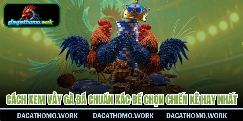 Cách Xem Vảy Gà Đá