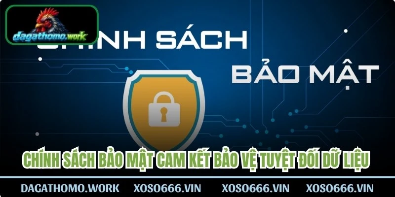 Chính sách bảo mật cam kết bảo vệ tuyệt đối dữ liệu cho kê thủ