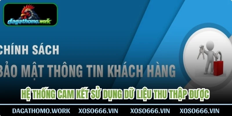 Hệ thống cam kết sử dụng dữ liệu thu thập được để tối ưu hóa