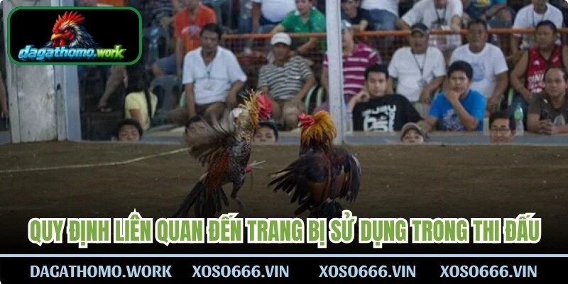 Quy định liên quan đến trang bị sử dụng trong thi đấu
