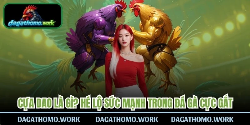 Cựa Dao Là Gì