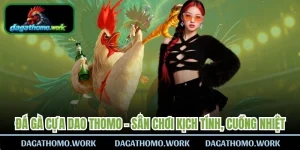 Đá Gà Cựa Dao Thomo