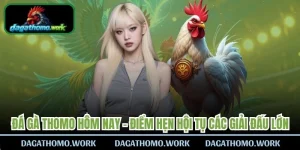 Đá Gà Thomo Hôm Nay