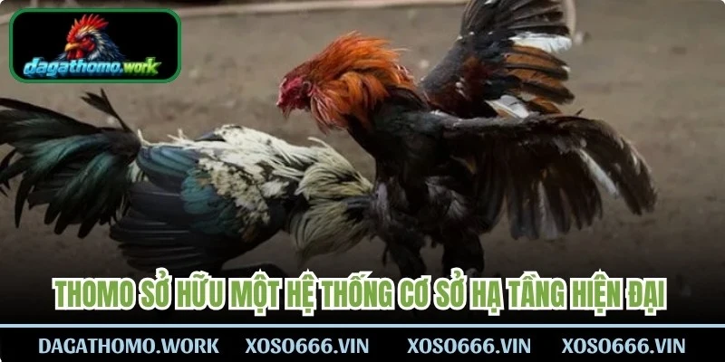 Thomo sở hữu một hệ thống cơ sở hạ tầng hiện đại bậc nhất