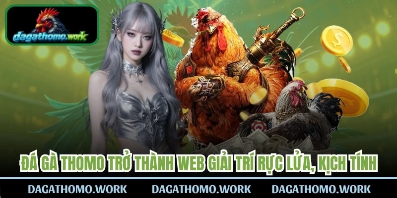 Đá Gà Thomo đã trở thành web giải trí rực lửa, kịch tính nhất