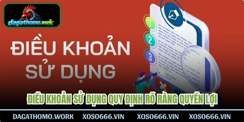 Điều khoản sử dụng quy định rõ ràng quyền lợi, trách nhiệm chung