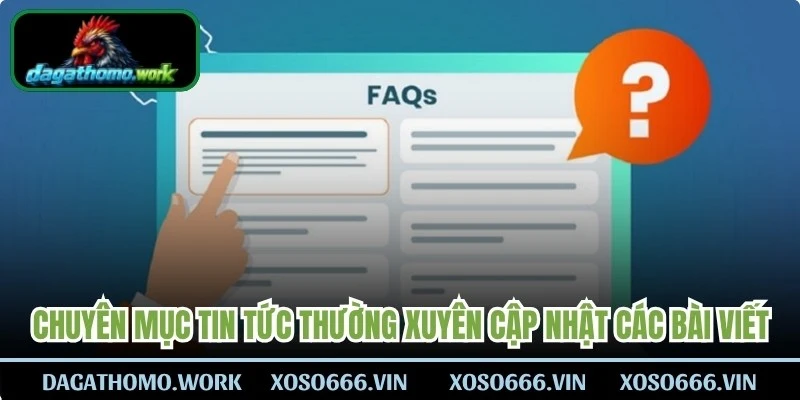 Chuyên mục tin tức của website thường xuyên cập nhật các bài viết