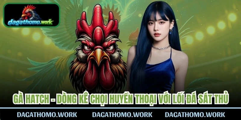 Gà Hatch