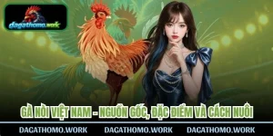 Gà Nòi Việt Nam
