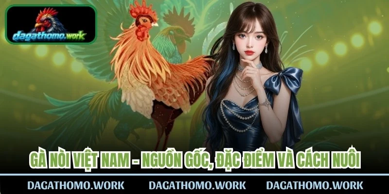 Gà Nòi Việt Nam