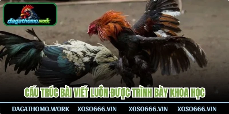 Cấu trúc bài viết luôn được trình bày khoa học, dễ dàng cho người đọc