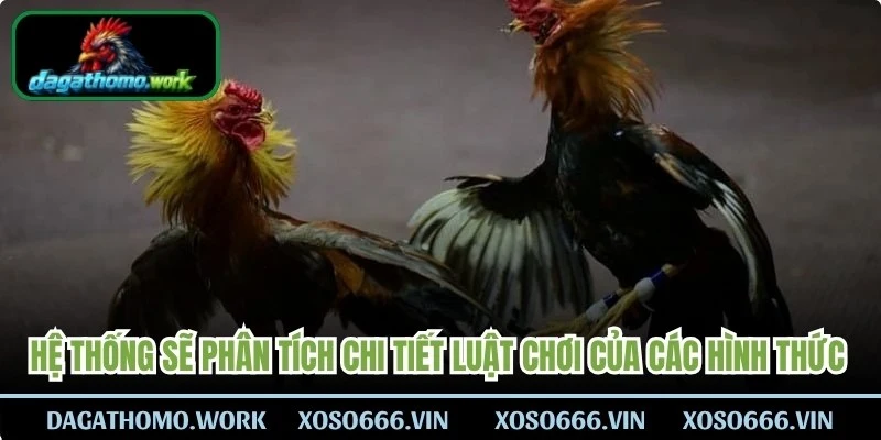Hệ thống sẽ phân tích chi tiết luật chơi của các hình thức phổ biến