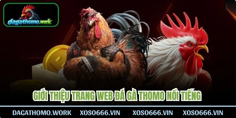 Giới thiệu trang web Đá Gà Thomo nổi tiếng là nơi phát sóng trực tiếp