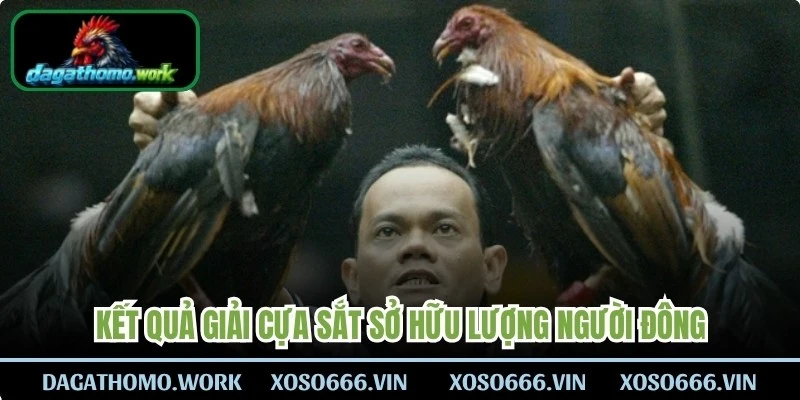Kết quả giải cựa sắt là chuyên mục sở hữu lượng người đông