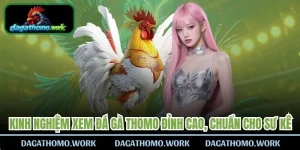 Kinh Nghiệm Xem Đá Gà Thomo