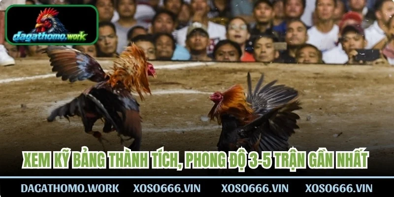 Xem kỹ bảng thành tích, phong độ 3-5 trận gần nhất và số kg