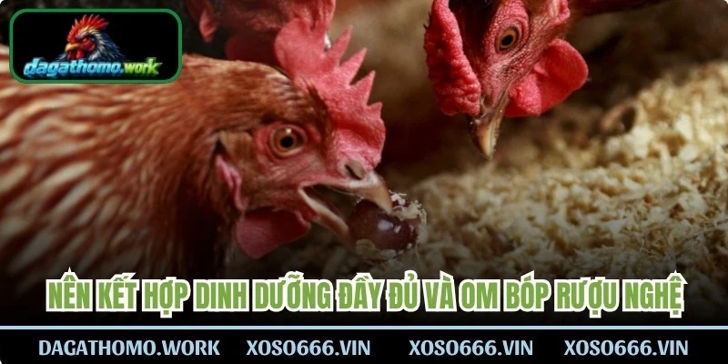 Nên kết hợp dinh dưỡng đầy đủ và om bóp rượu nghệ