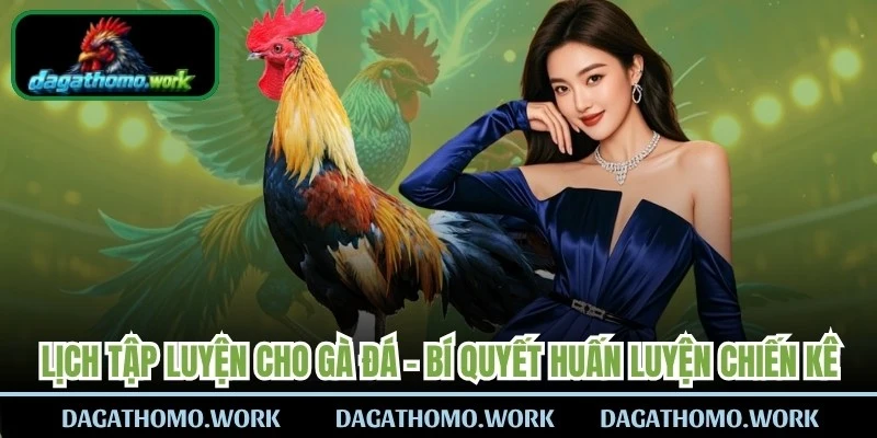 Lịch Tập Luyện Cho Gà Đá