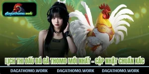 Lịch Thi Đấu Đá Gà Thomo