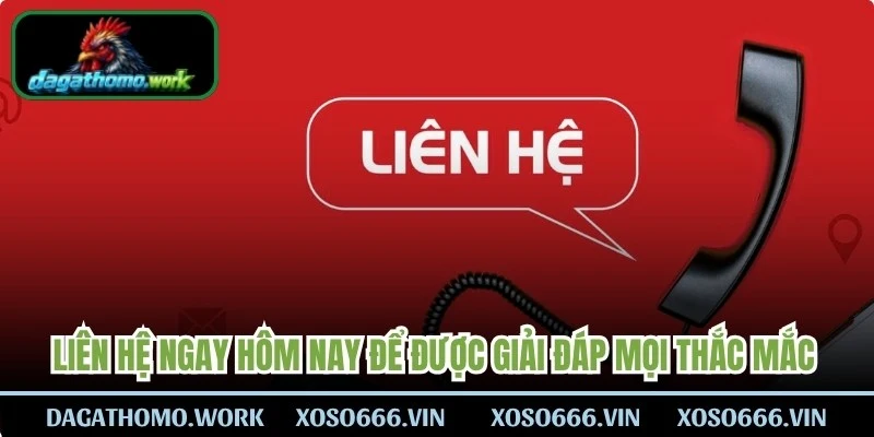 Liên hệ ngay hôm nay để được giải đáp mọi thắc mắc về web chọi gà