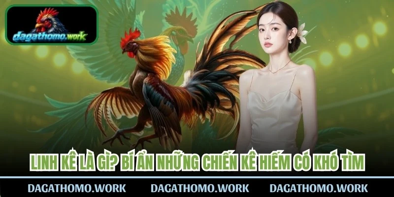 Linh Kê Là Gì