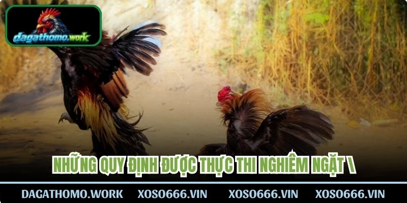 Những quy định được thực thi nghiêm ngặt để đảm bảo an toàn