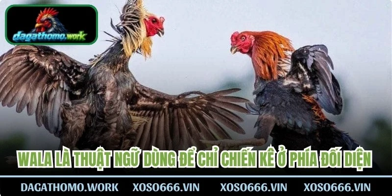Wala là thuật ngữ dùng để chỉ chiến kê ở phía đối diện với Meron