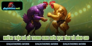 Những Trận Đá Gà Thomo Kinh Điển