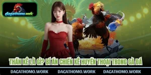 Thần Kê Là Gì