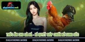 Thức Ăn Cho Gà Đá