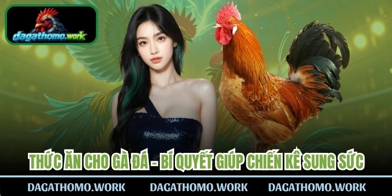 Thức Ăn Cho Gà Đá