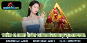 Trường Gà Thomo Ở Đâu